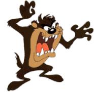 tazmania