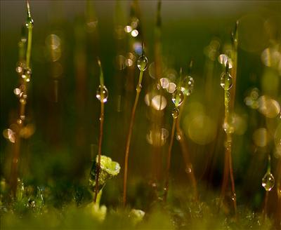 after rain