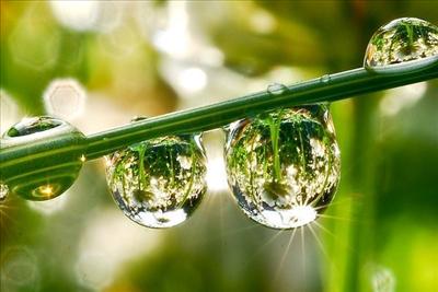 rain drops