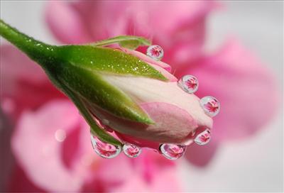 for you my dear