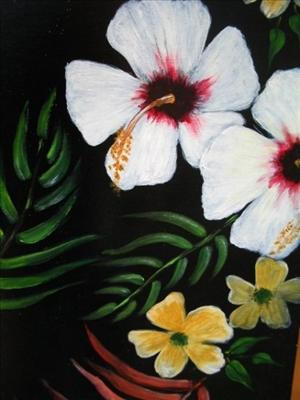 Amapola 