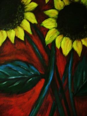 Girasole 