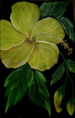 Amapola amarilla