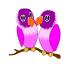 Love Bird