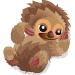 Sloth
