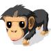 Bonobo