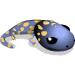 Fire Salamander