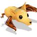 Flying Fox Bat