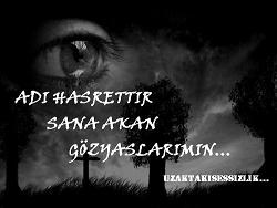 HASRET 1