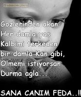 HASRET 8