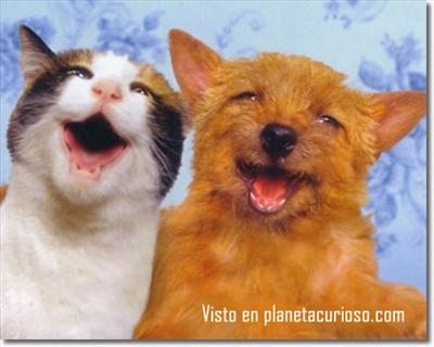 friendsforever