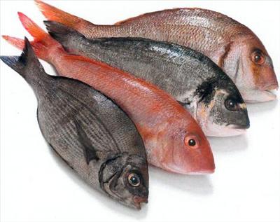 pescado_1
