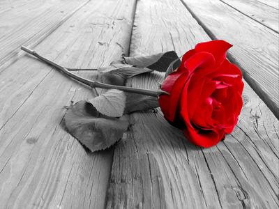 Nothing compares to you...