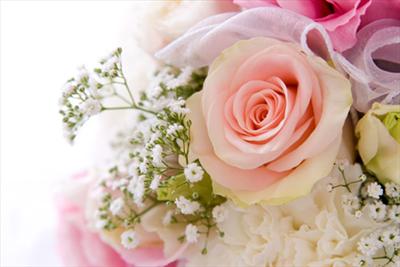 To the most beautiful girl...