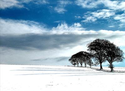 Snow Day