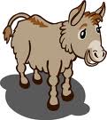 donkey