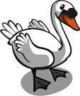 swan
