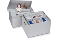 artifact storage carton