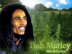 BOB MARLEY