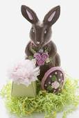 rabit  egg