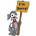 I'm sorry