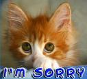 I'm sorry