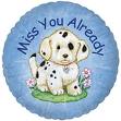 Miss you already