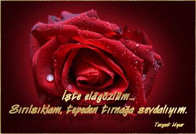 HASRET 8