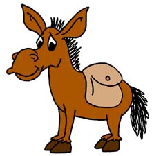 Donkey