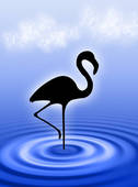 Blue Flamingo