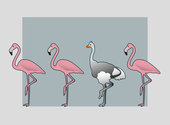 Every Bird Wants to Be a Flamingo