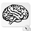 CeRebRo