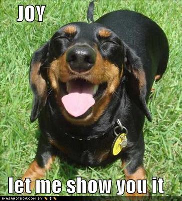 Sending love puppy
