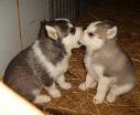 Brotherly love 