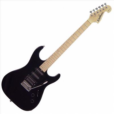 Elektro Gitar