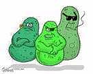 Bad Boy Germs