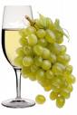 vino 