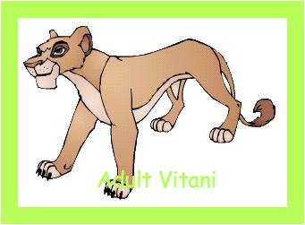 Adult Vitani