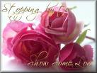 romantic