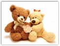 teddys