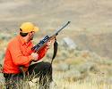 Hunting