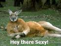 Sexy Male