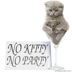 Kitty