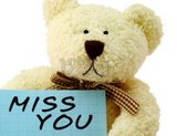 bear