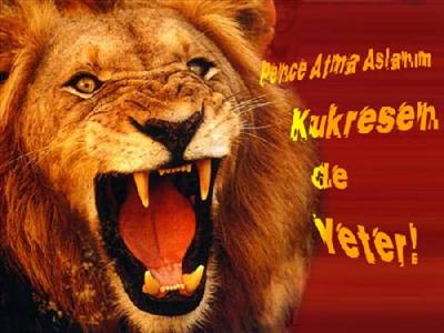 aslan 