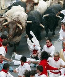 LeT'S GO oN vaCaTIoN WItH Me TO PaMPLOnA ANd JoiN Our SPaNIArD FrIENDS IN fEsTIvaL OF sAN fERmiN!!!