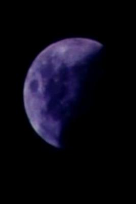Bark At the Moon