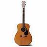 Acoustic Guitar