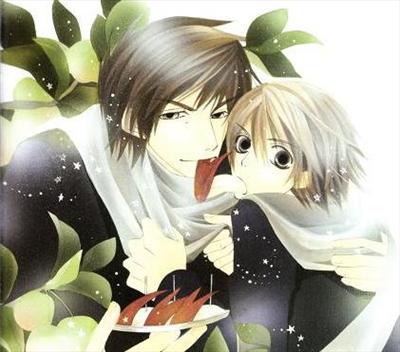 Junjou Terrorist #8
