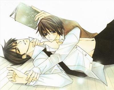 Junjou Terrorist #5